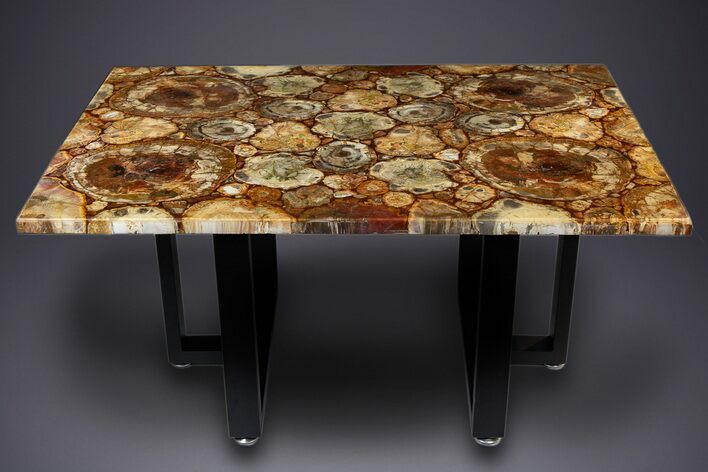 Polished Triassic Petrified Wood Coffee Table #303666